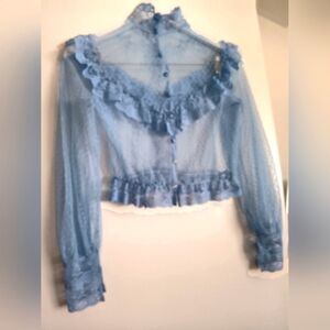 Vintage Elegant Blue Sheer Ruffled Blouse